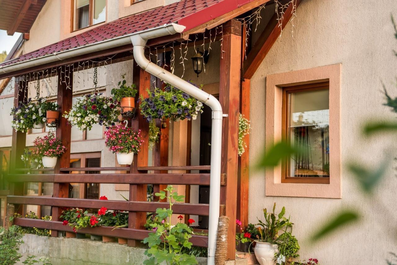 Casa Gotika Guest House Vama  Exterior photo